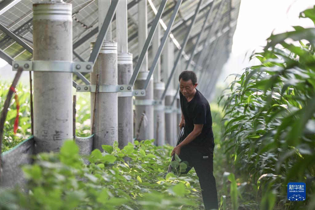 游艇会官网一站二站三站
